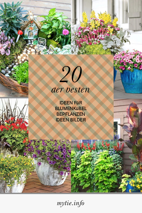 20 Der Besten Ideen Für Blumenkübel Bepflanzen Ideen Bilder